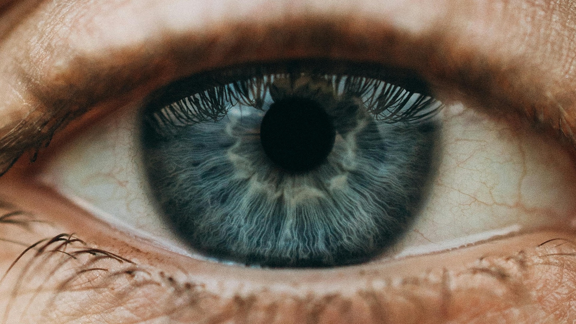 See The Humans Around You